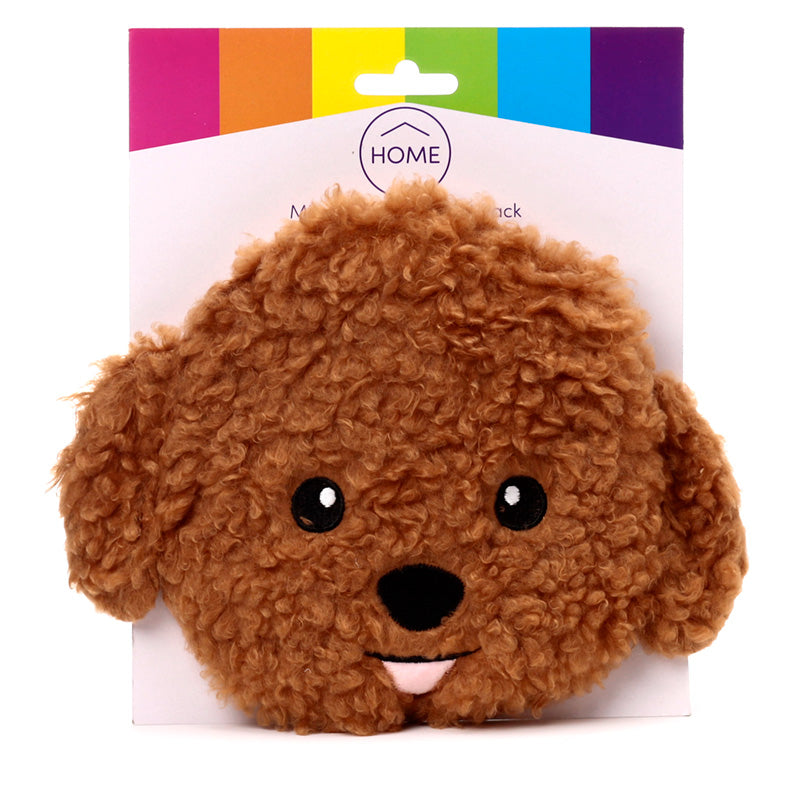 Kavapoo Hund